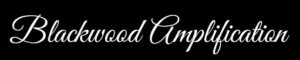 Blackwood Amplification — guitar repair shop in Mystic, Connecticut